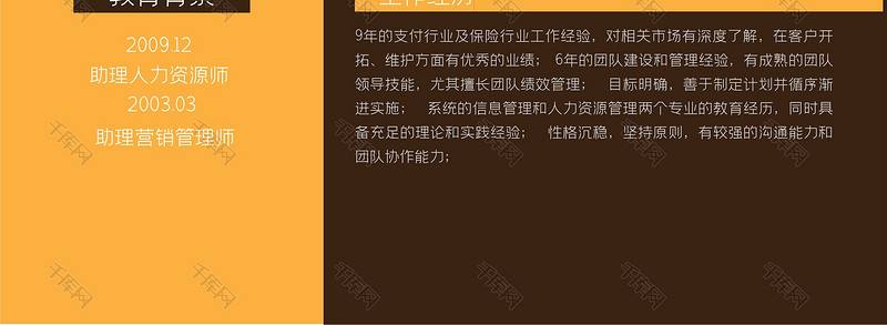 个性创意保险销售经理个人简历word模板