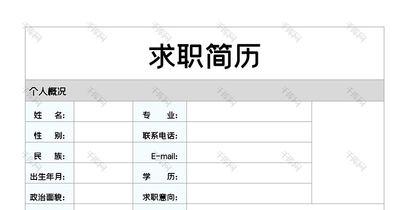 简约表格经济学大学生求职简历