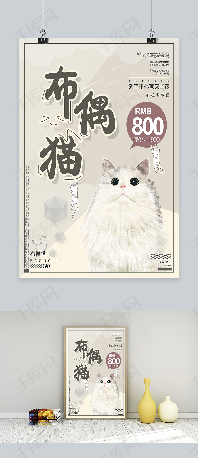 宠物当家布偶猫折扣海报设计