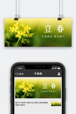 立春油菜花黄绿色简约风公众号首图