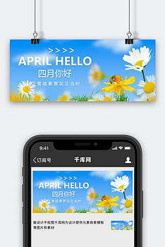 你好四月菊花蓝色黄色摄影文艺公众号首图