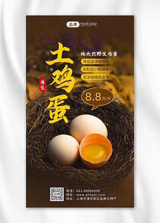 广告设计新鲜土鸡蛋营养健康摄影图海报企业vip免费下载广告设计养生