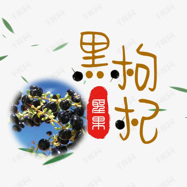 食品黑枸杞平面艺术字