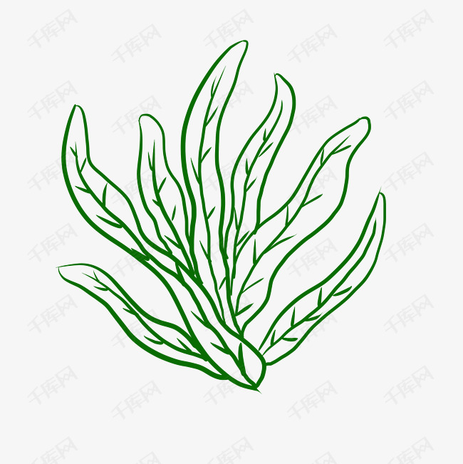 世界海洋日手绘蓝色海草