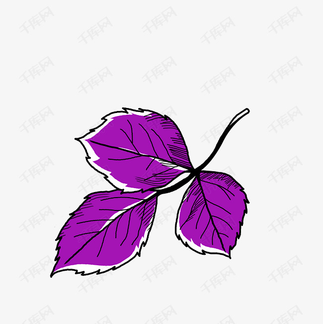紫苏简笔画图片带颜色图片