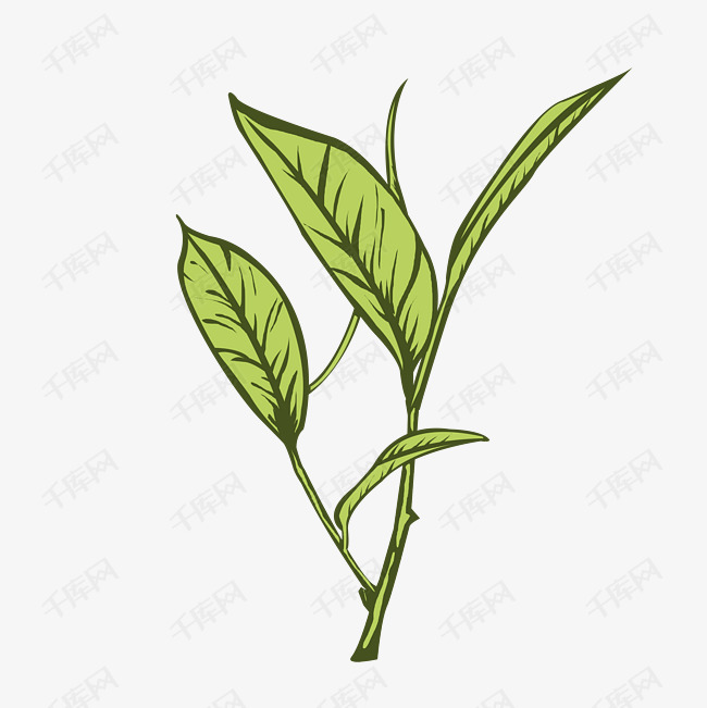 茶园茶叶矢量插画