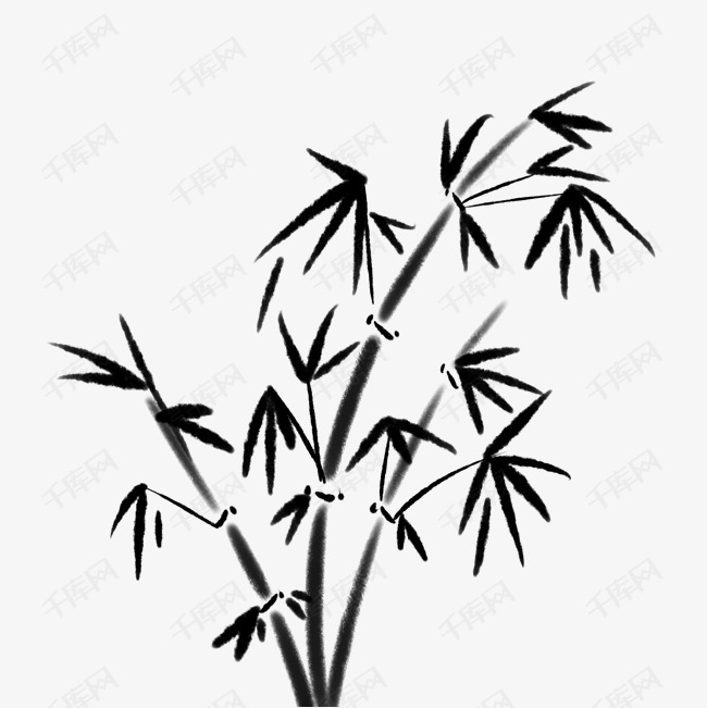 黑色竹子竹节