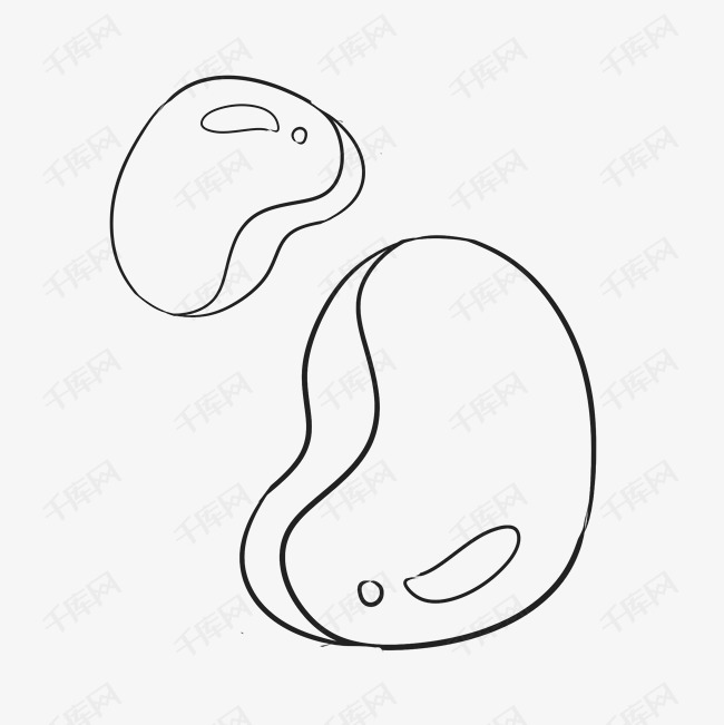 手绘线条画腰果果实插画免抠