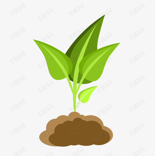 绿色小幼苗免抠png
