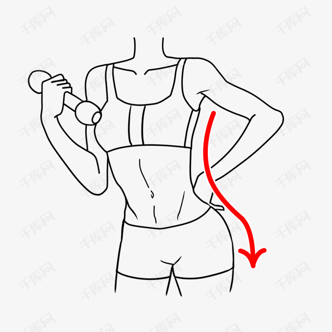 性感瘦身减肥手绘线条