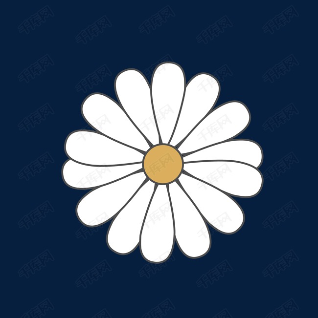 白色矢量菊花素材