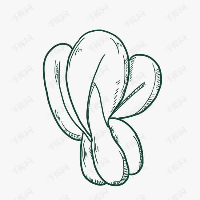 手绘青菜设计素材