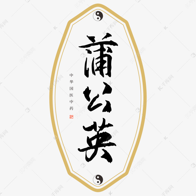 中药蒲公英艺术字