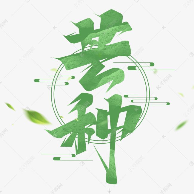 芒种创意艺术字设计