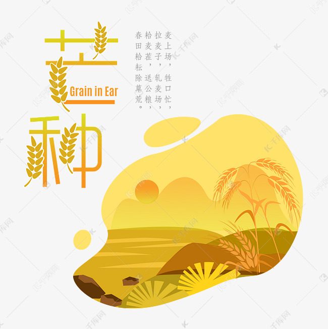 芒种黄色麦穗变形诗句艺术字