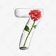 瓶子中的玫瑰七夕数字7