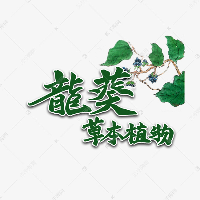 龙葵草本植物毛笔卡通风格卡通宣传类标题类字体png素材艺术字设计