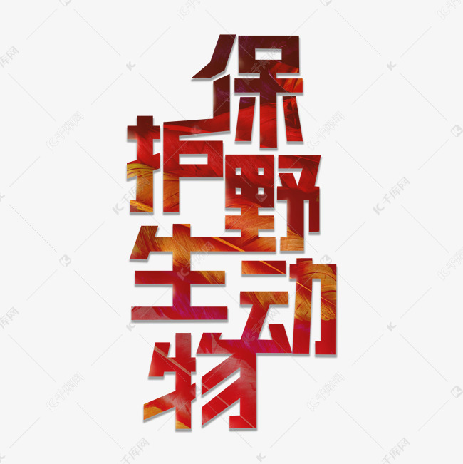 保护野生动物艺术字