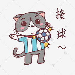 世界杯接球猫咪