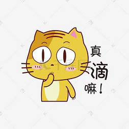 真的么无尾小黄猫卡通手绘表情包