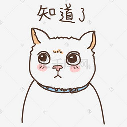 表情知道了小猫咪插画