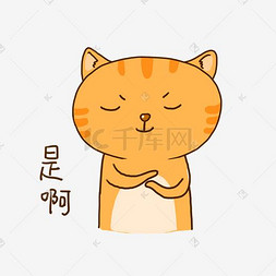 疑问猫猫表情图片_夏日橘猫可爱挑衅表情包