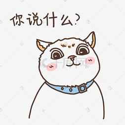 表情你说什么小猫咪插画