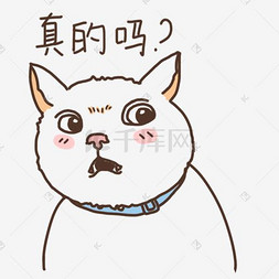 小猫咪卡通图片图片_表情真的吗小猫咪插画