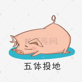 五体投地图片素材_卡通小猪膜拜搞笑表情包
