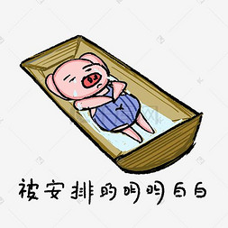 可爱猪猪被生活安排的明明白白