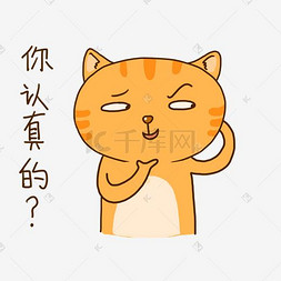 疑问猫猫表情图片_夏日橘猫可爱疑问表情包