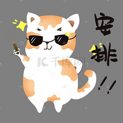 小猫安排表情包