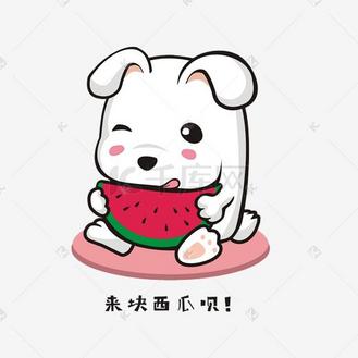 可爱小兔子吃西瓜