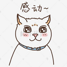 可爱表情包感动表情