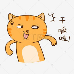夏日橘猫可爱干嘛啦表情包