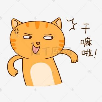 夏日橘猫可爱干嘛啦表情包