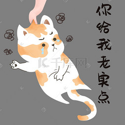 小猫给我老实点表情