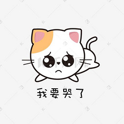 呆萌猫表情图片_猫咪主题可爱呆萌表情包