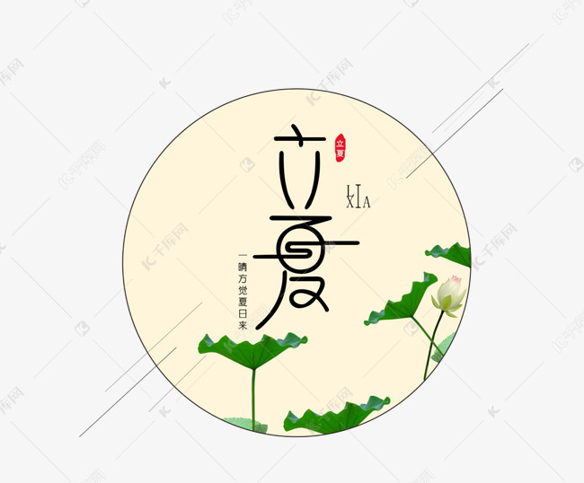 立夏  米白色   绿色  荷花