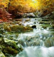 秋天山林配乐音频素材_山林里面小泉流水的音效