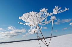 冬季雪落在木屋上音效