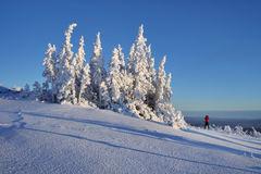 玩雪的人摔倒在雪地上音效