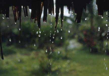 雨天雨水从屋檐下滴落音效