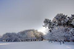 天气渐凉配乐音频素材_恶劣的暴雪天气寒风呼啸音效