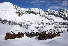 旅行者的行李袋落在雪地上音效