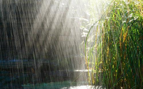 中午配乐音频素材_中午大雨倾盆而下音效