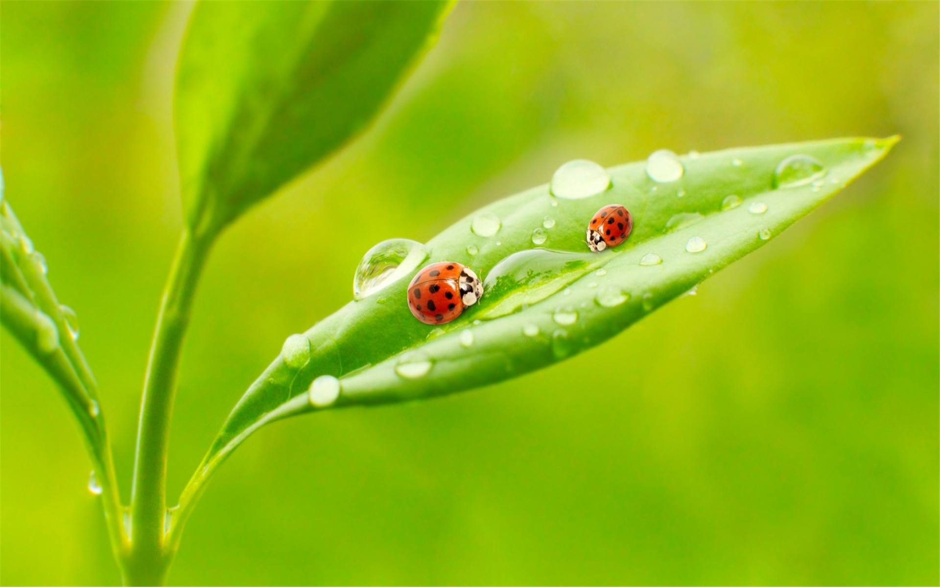 下雨雨滴的声音音效