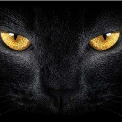 【惊悚紧张氛围心跳音效】音频素材