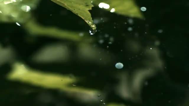 雨水节气图配乐音频素材_郊外只有蛐蛐和滴落雨水音效