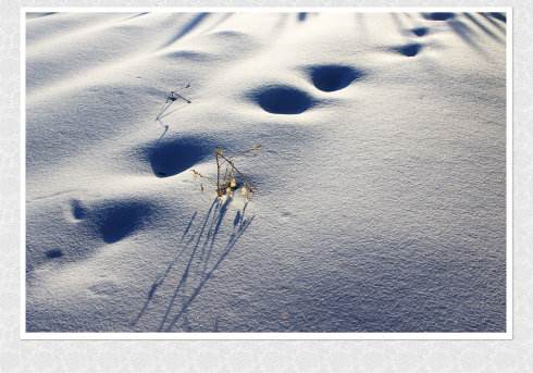 雪地中行走积雪卡通音效